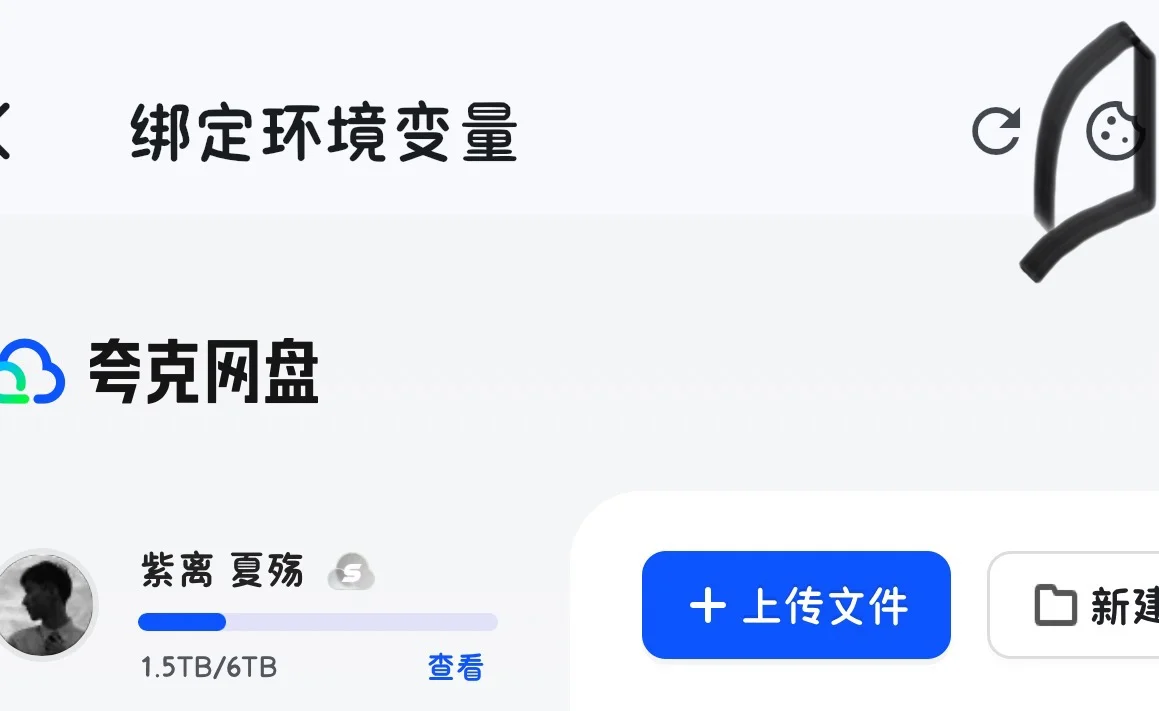 IOS可用的tvbox软件（无视系统机型）