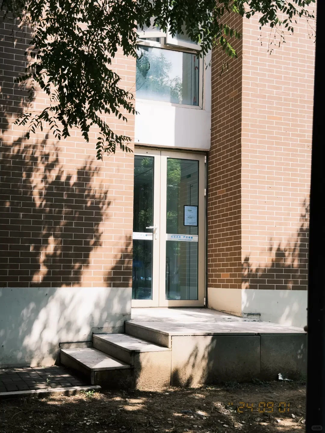 小刘终于把omo复古相机上架安卓啦😭