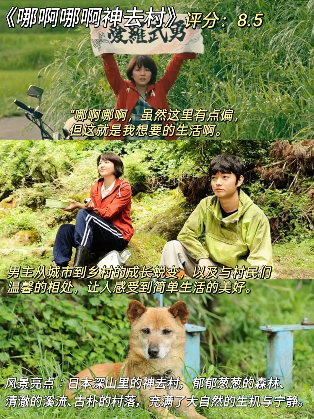 治愈系电影来咯、我的焦虑被电影治愈了