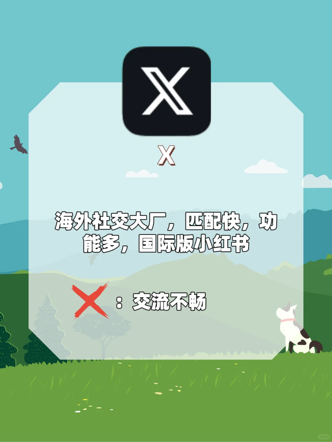 干净实用效率脱单软件推荐