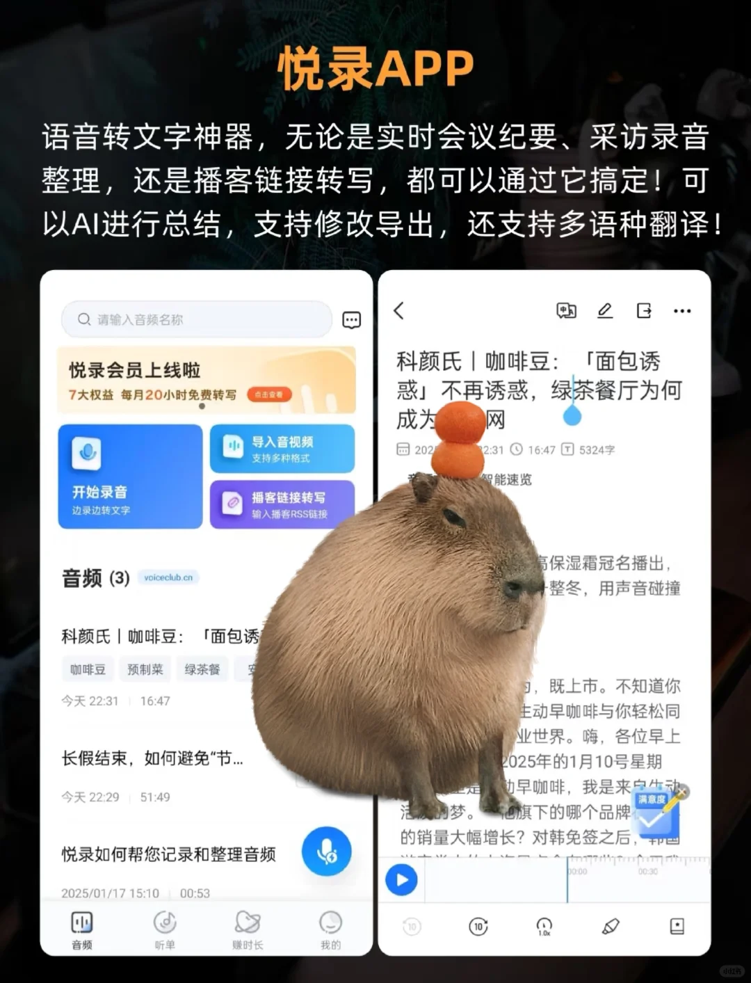 6个奇奇怪怪的网站！每个都能玩一天