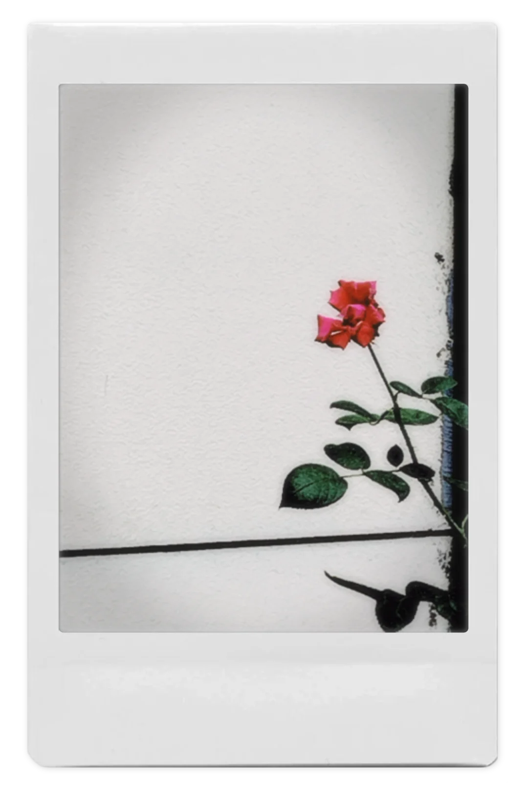 推荐相机软件！