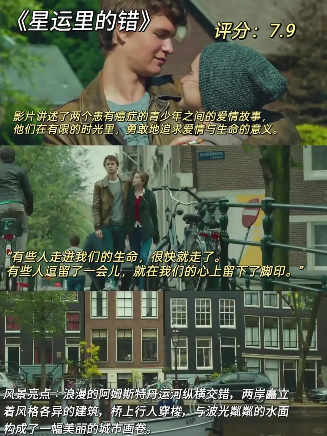 治愈系电影来咯、我的焦虑被电影治愈了