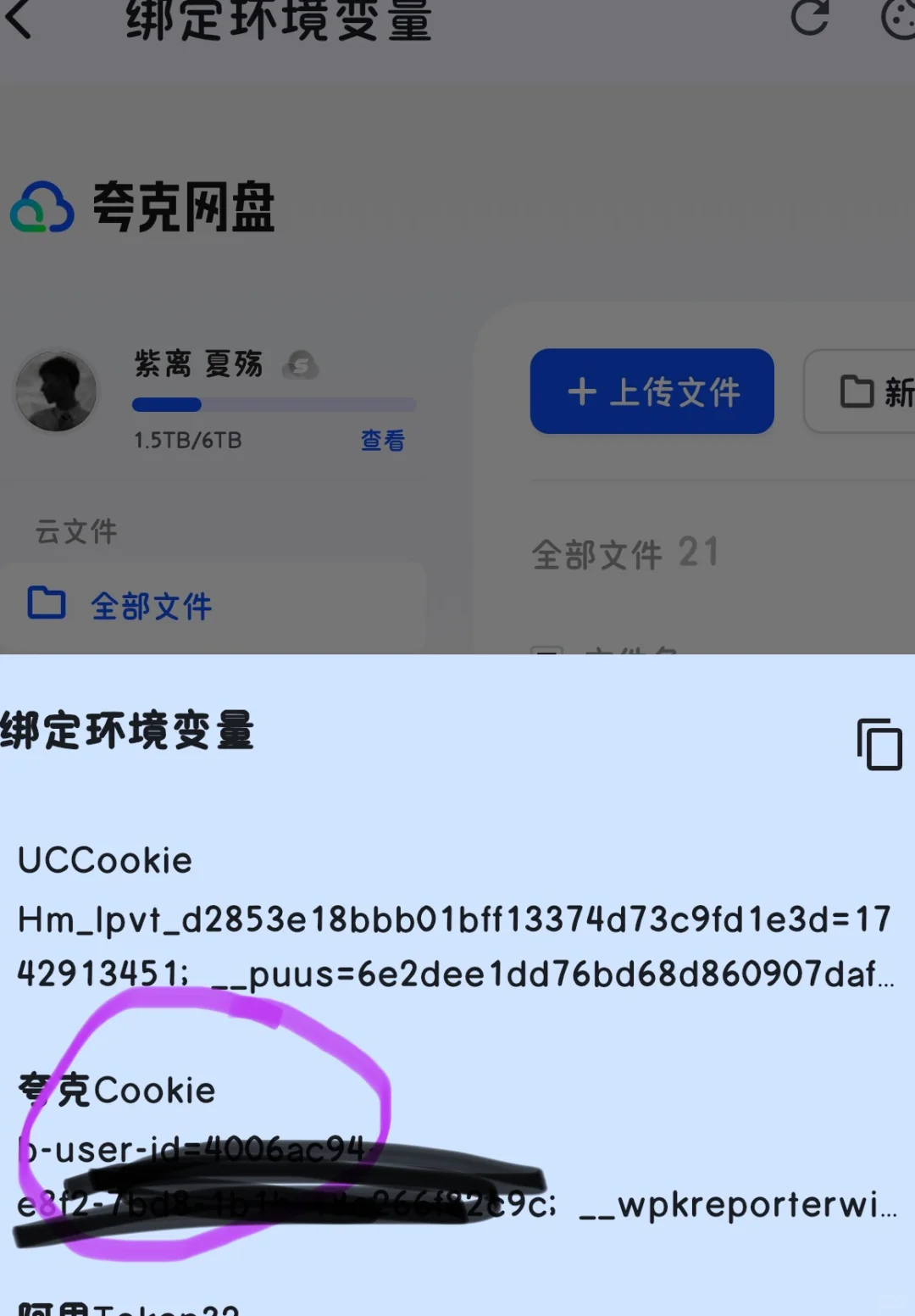 IOS可用的tvbox软件（无视系统机型）