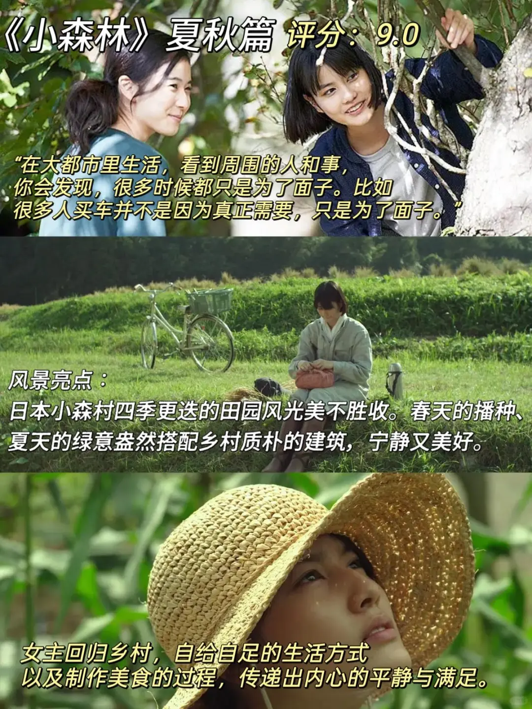 治愈系电影来咯、我的焦虑被电影治愈了