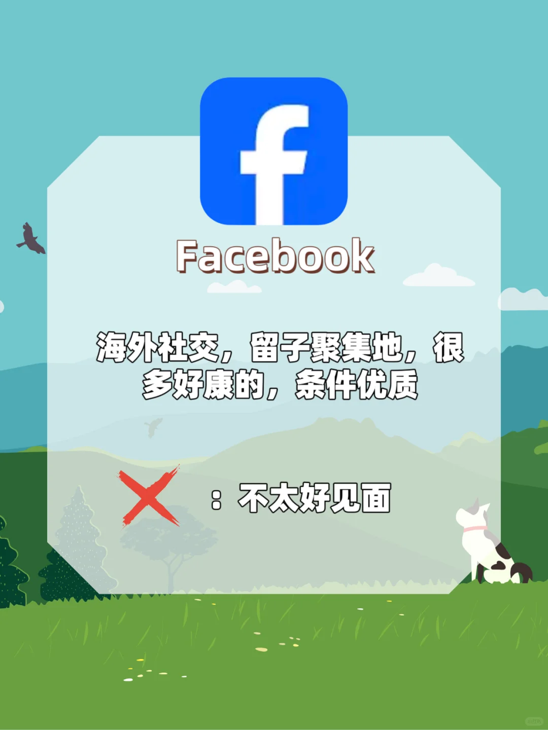 干净实用效率脱单软件推荐