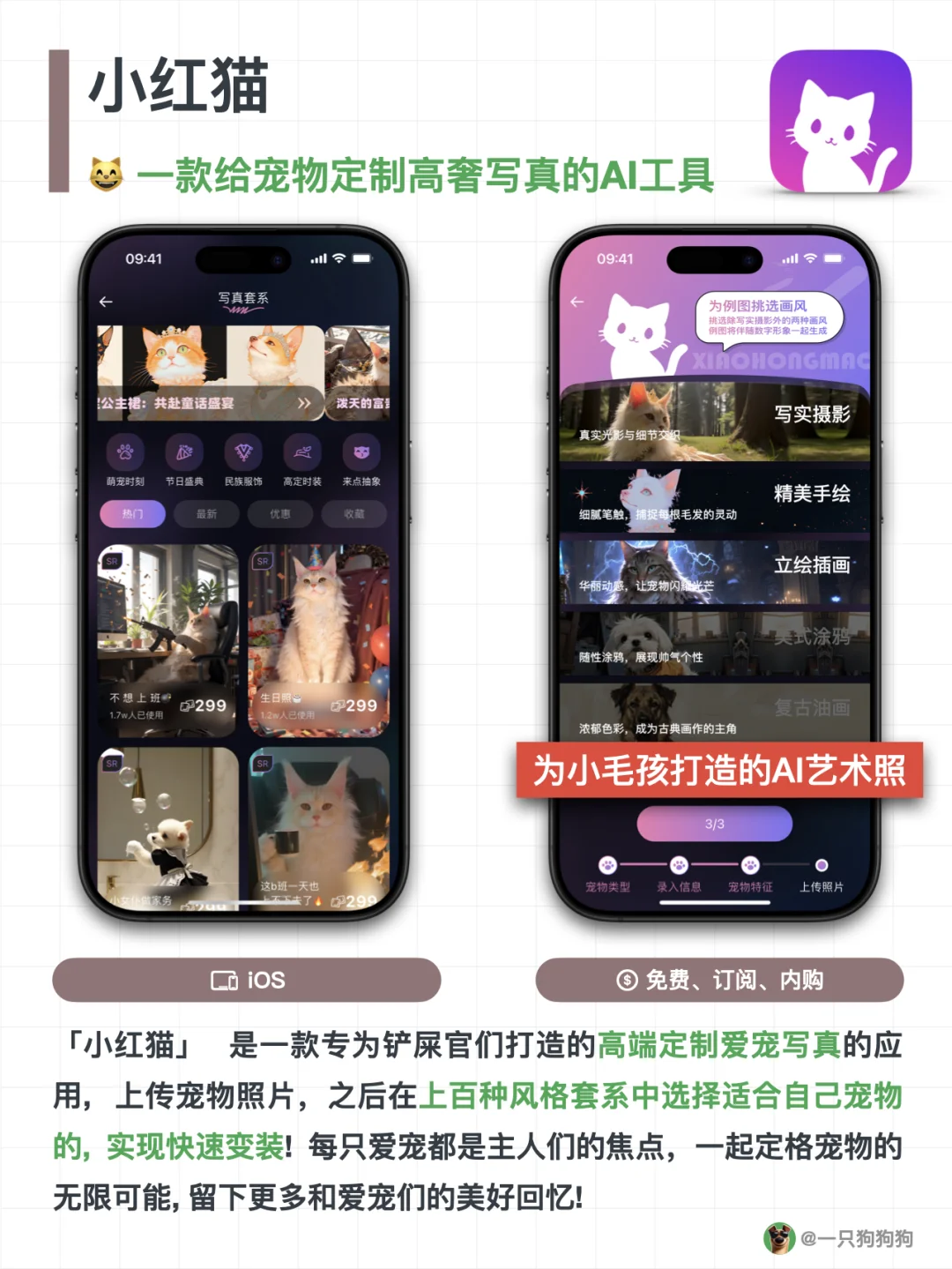 汪汪～这几款为萌宠设计的App，铲屎官们必备！