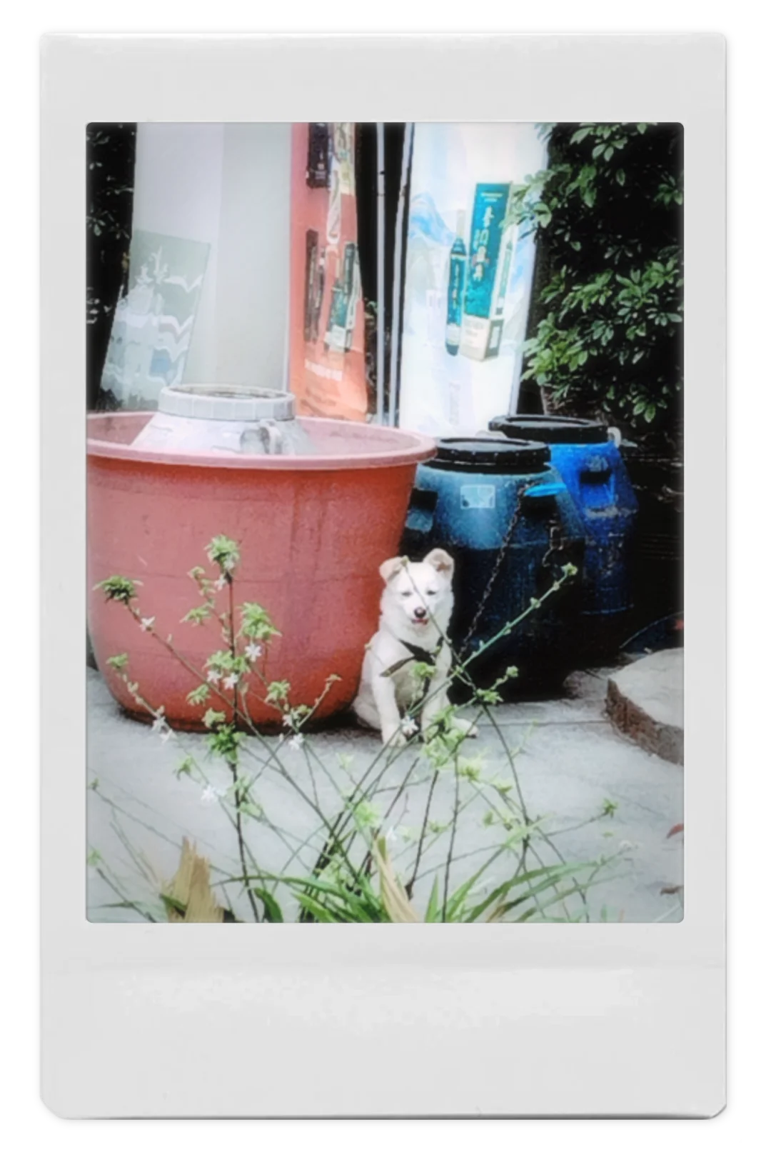 推荐相机软件！