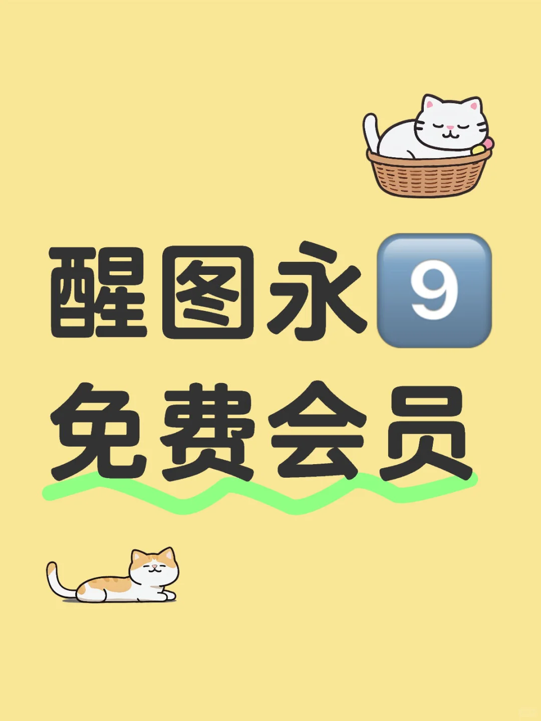 醒图永9️⃣ 免费会员