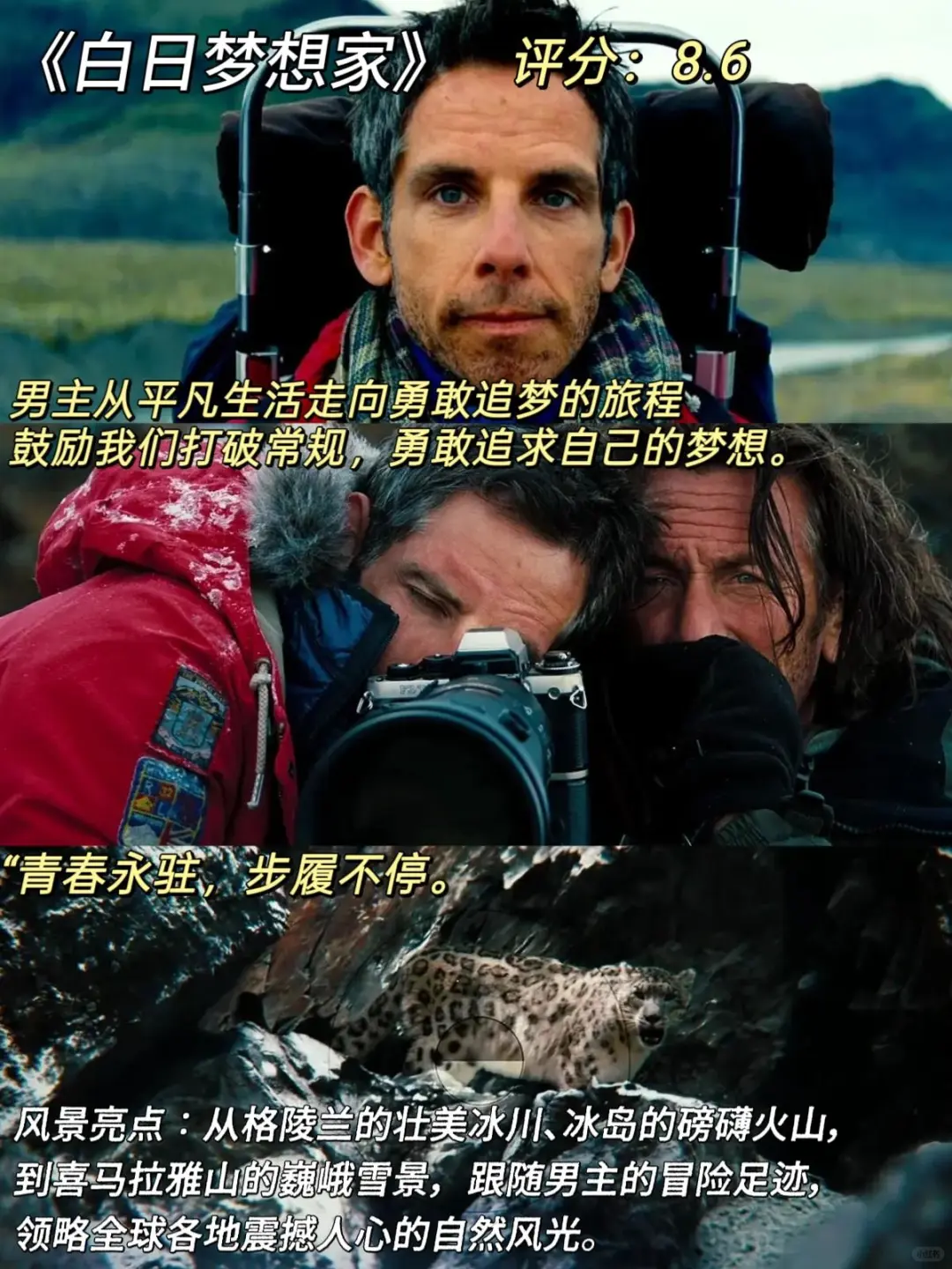 治愈系电影来咯、我的焦虑被电影治愈了