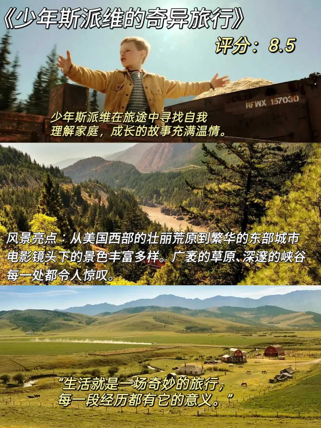 治愈系电影来咯、我的焦虑被电影治愈了