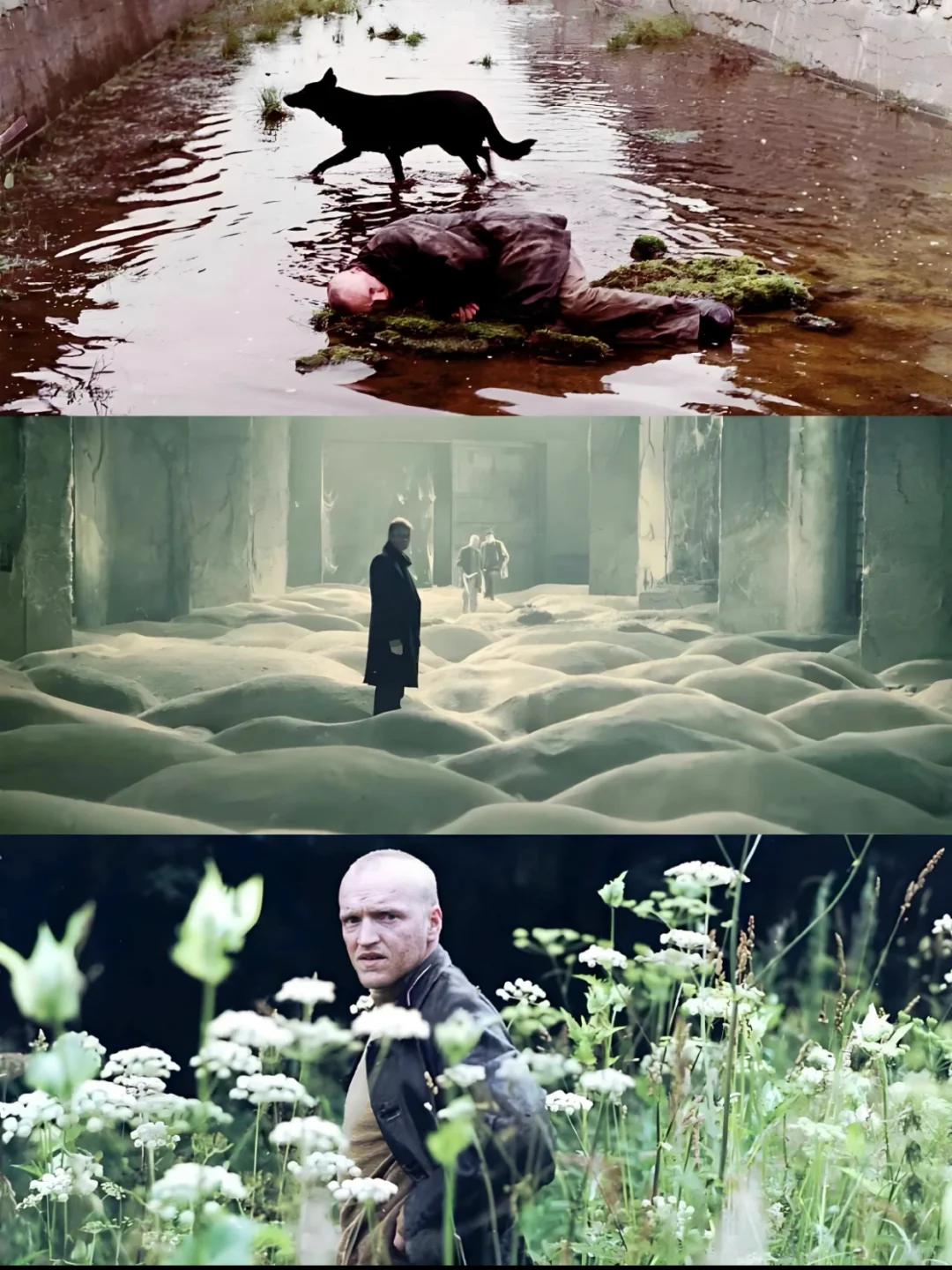 太震撼了‼️颠覆我的所有想象🌍