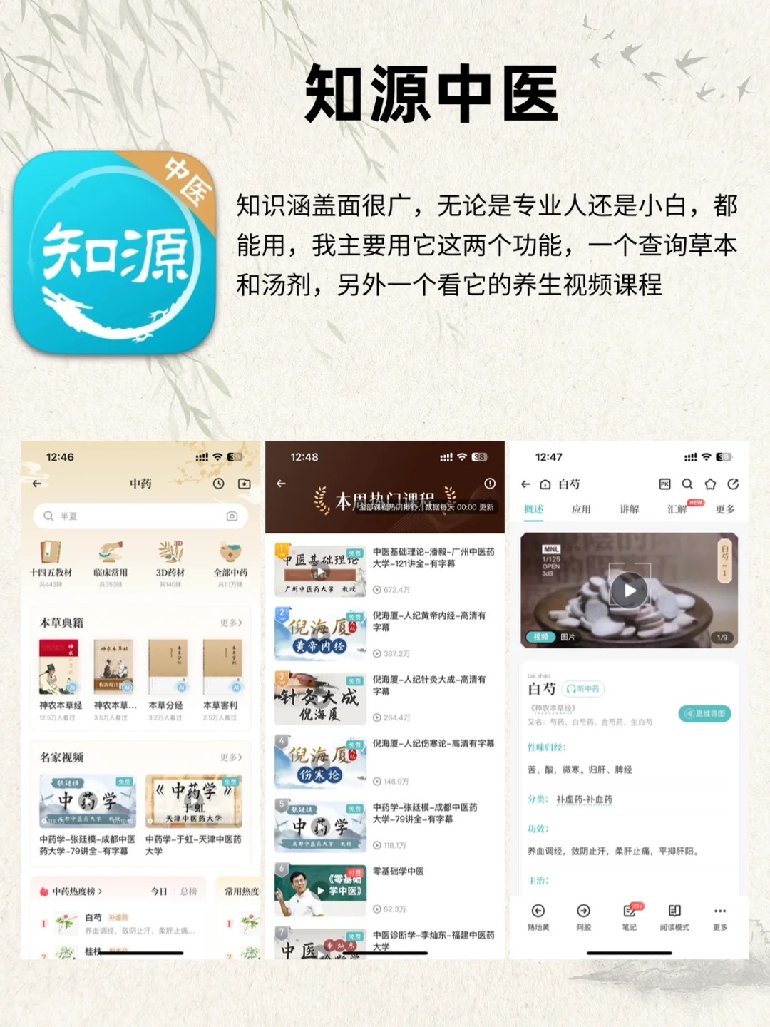 脆皮年轻人必备！6款超实用养生变美app