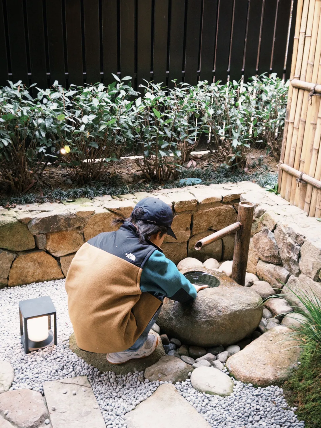 3块多开dazz永久会员，立省88💰太爽了！