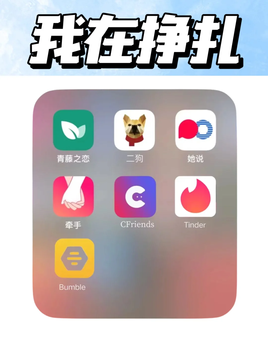 2025年2个月交友软件总结：我在挣扎