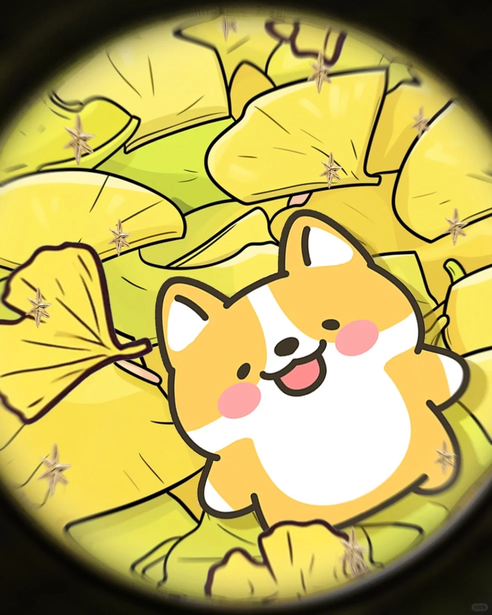 Hi！！！看镜头！是我呀(｡ì _ í｡)