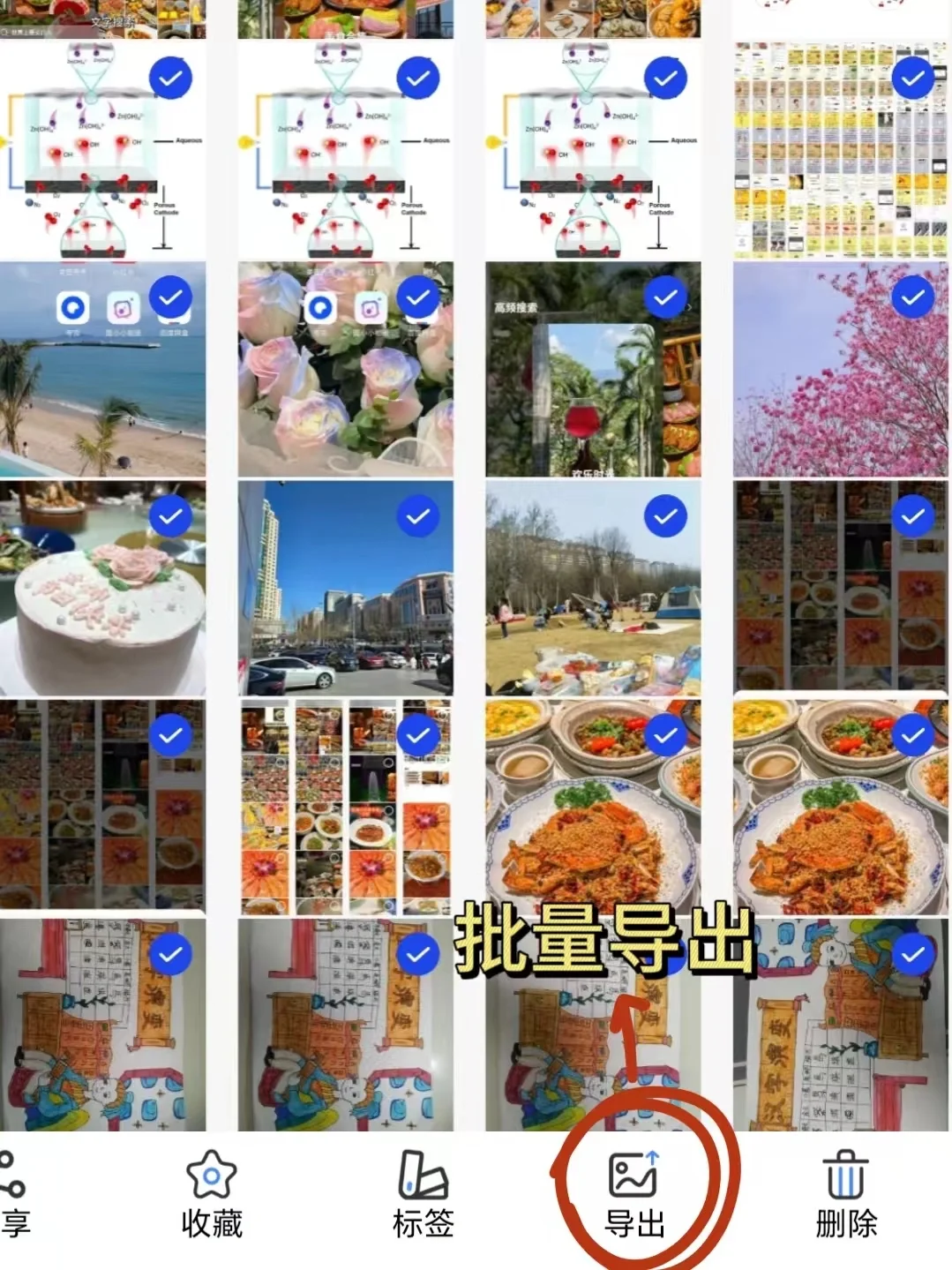 绝了！盘点整理手机相册的神仙App