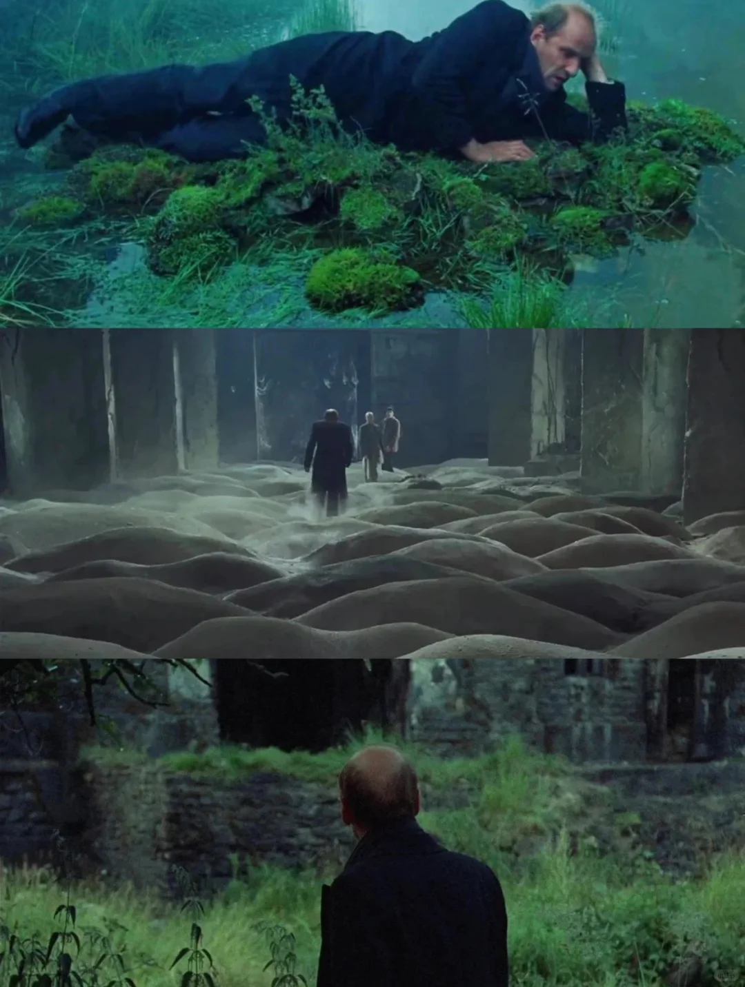 太震撼了‼️颠覆我的所有想象🌍