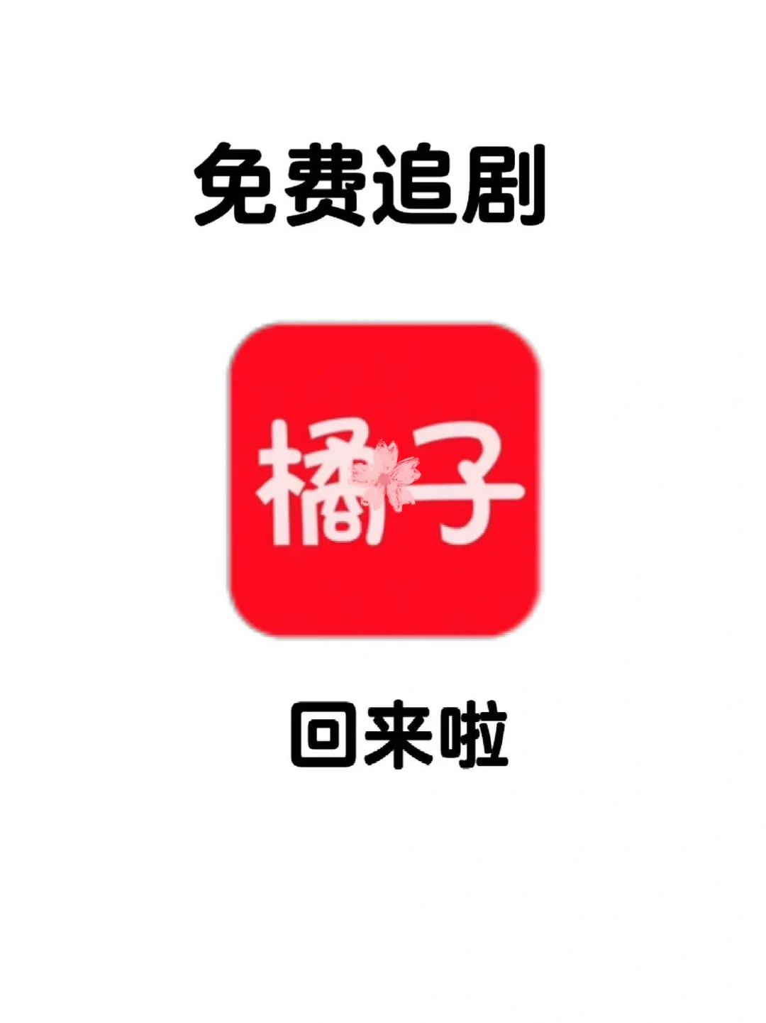 橘🍊新版本已出