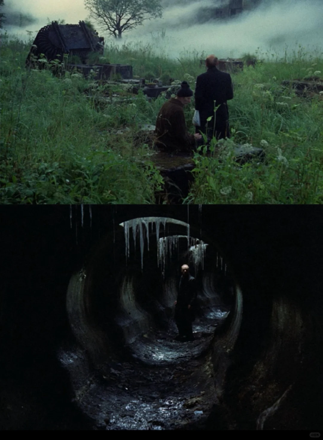 太震撼了‼️颠覆我的所有想象🌍