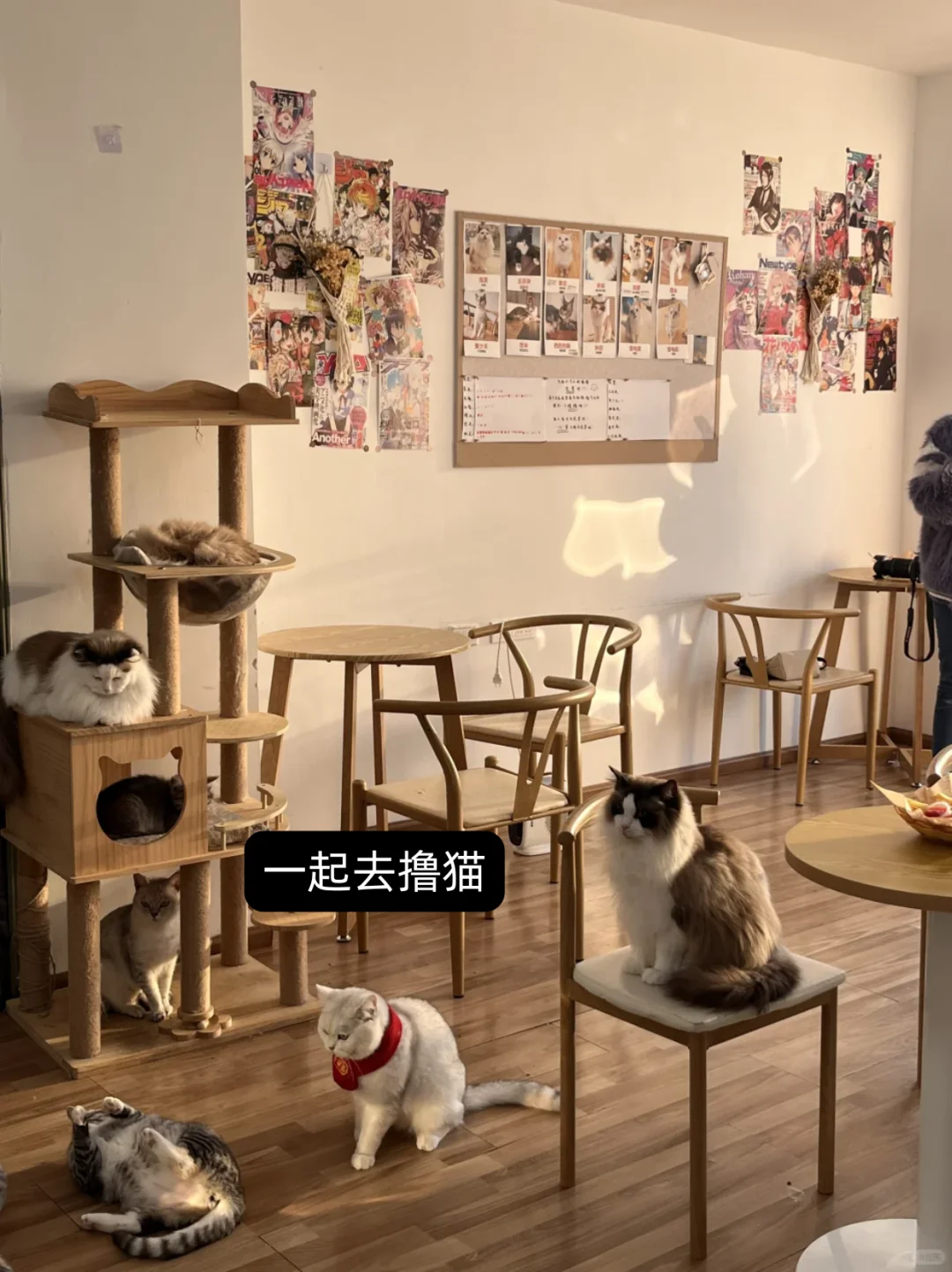 30+宅男视角下的dating app测评