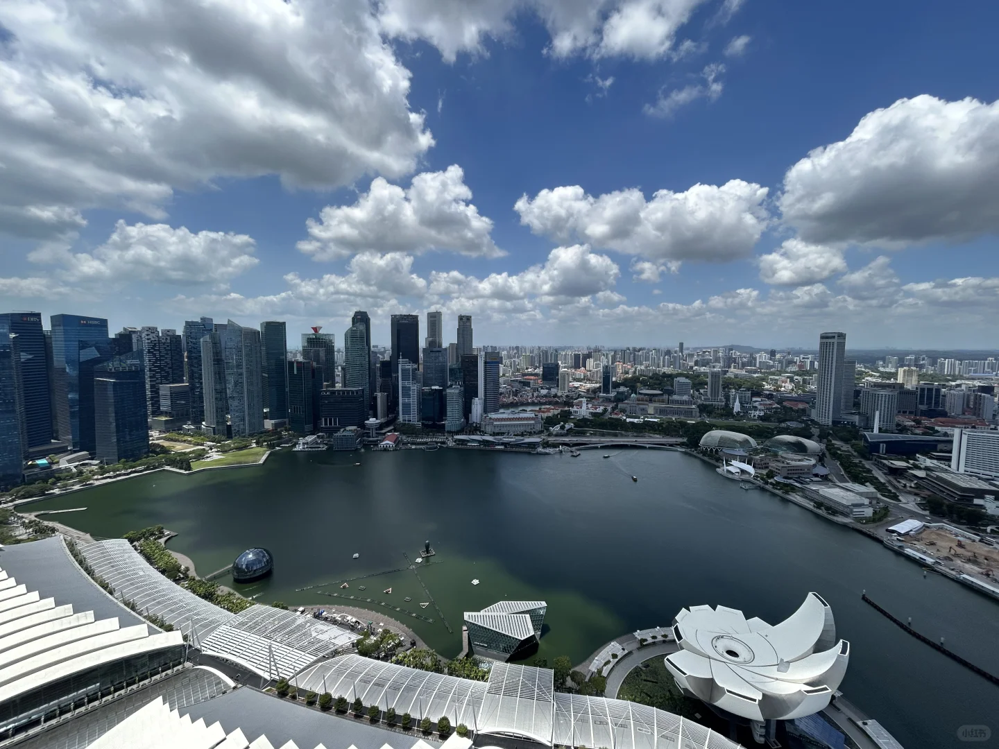 春节去新加坡 没有这些app错失一个亿