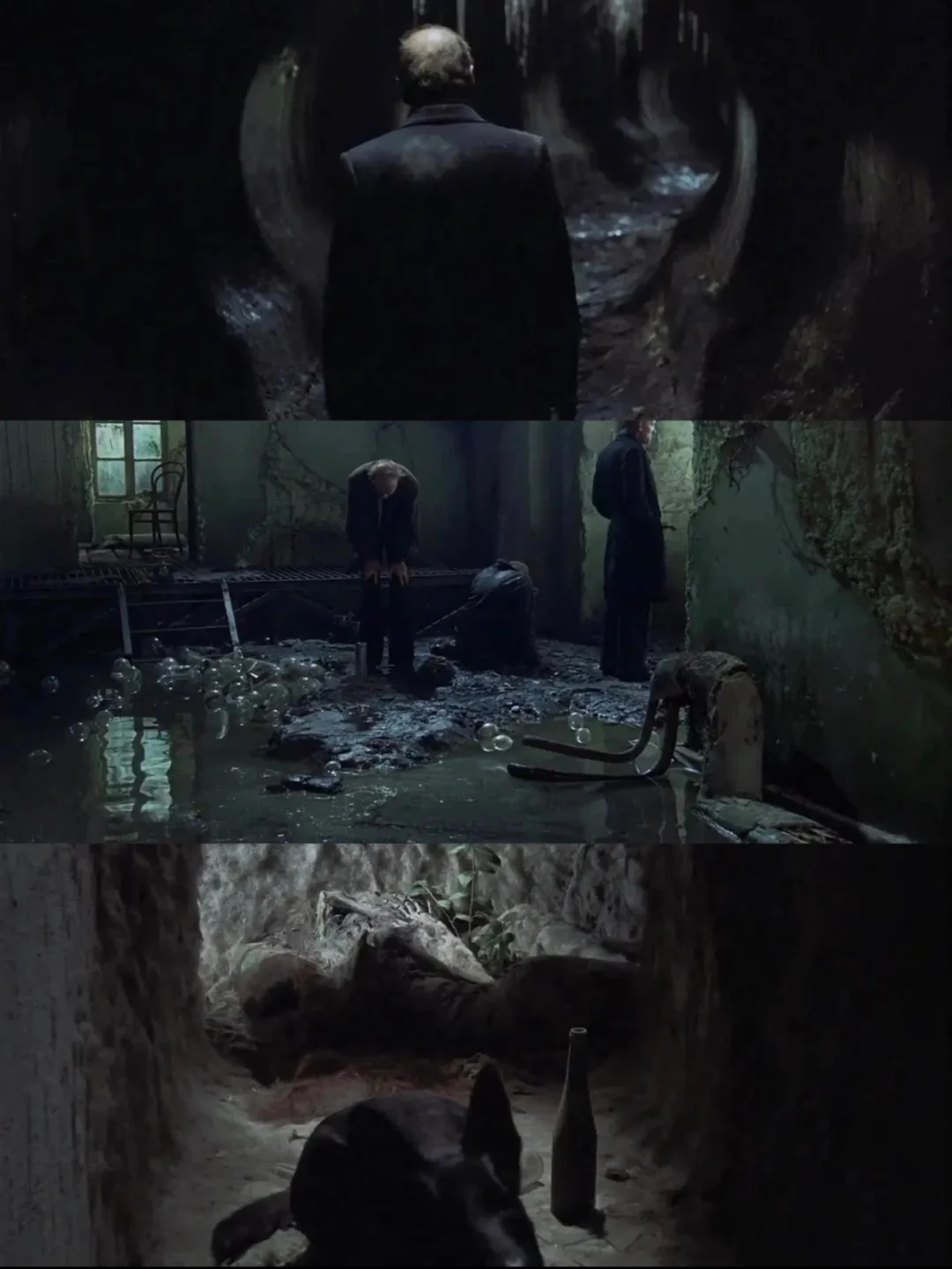 太震撼了‼️颠覆我的所有想象🌍