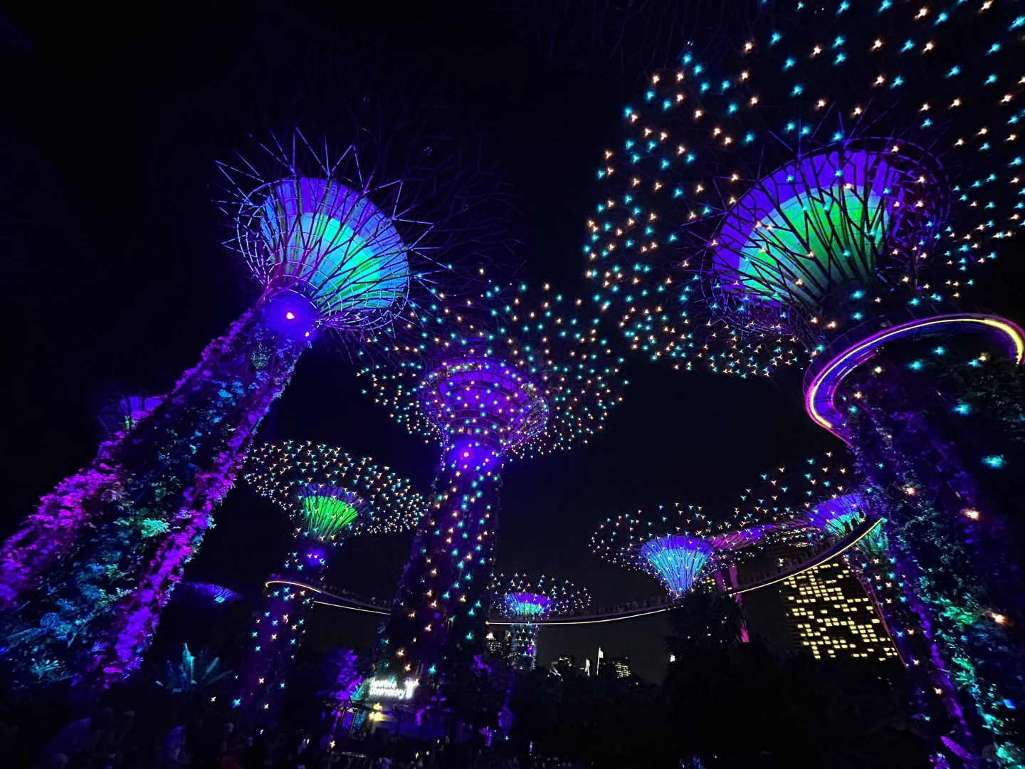 春节去新加坡 没有这些app错失一个亿