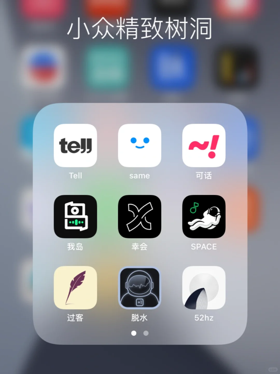 分享一些小众精致的树洞软件，裸辞日记4