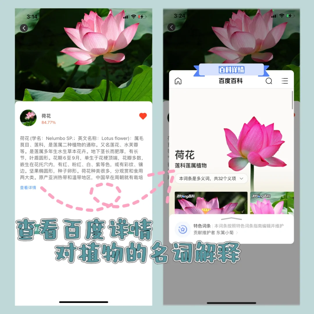 周末出行必备🌸随时随地拍照识花神器