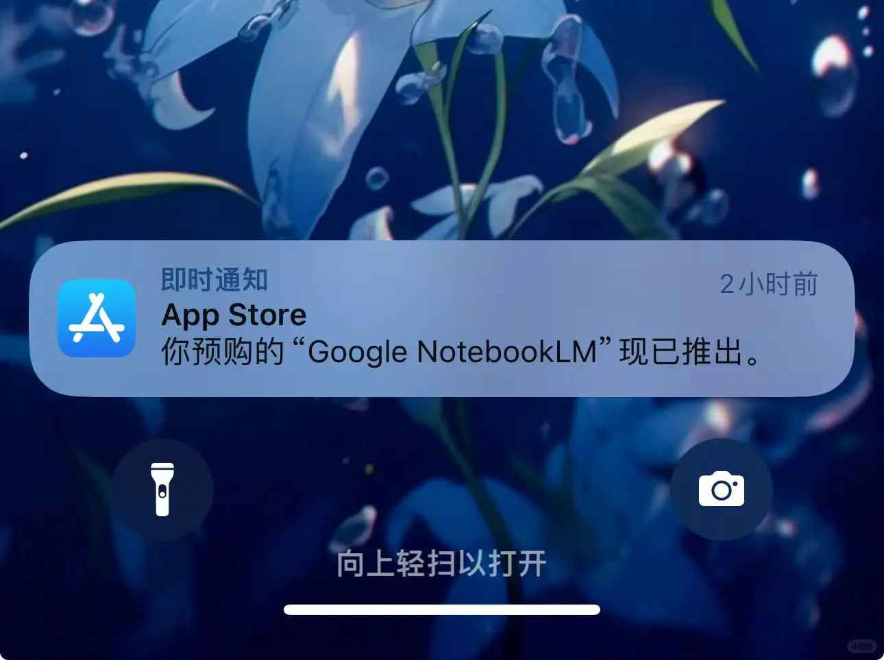 NotebookLM 安卓&苹果 App 均已上线！