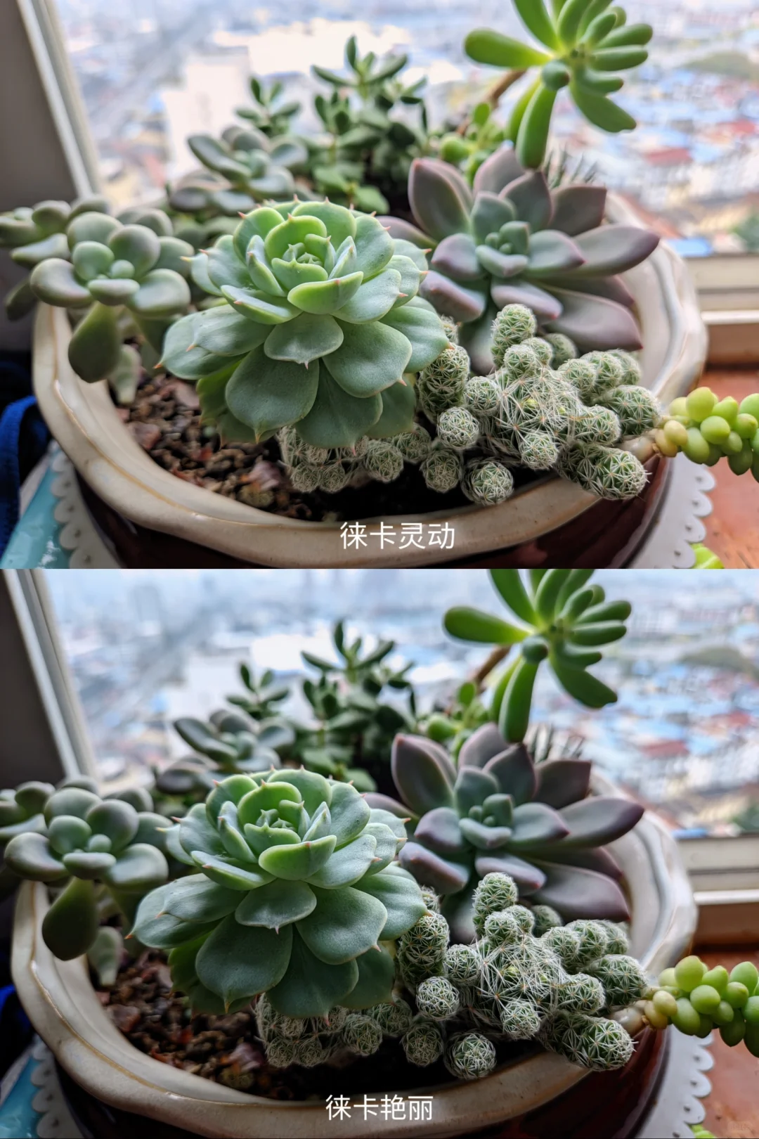 三星s23谷歌相机安装保姆级教程和设置