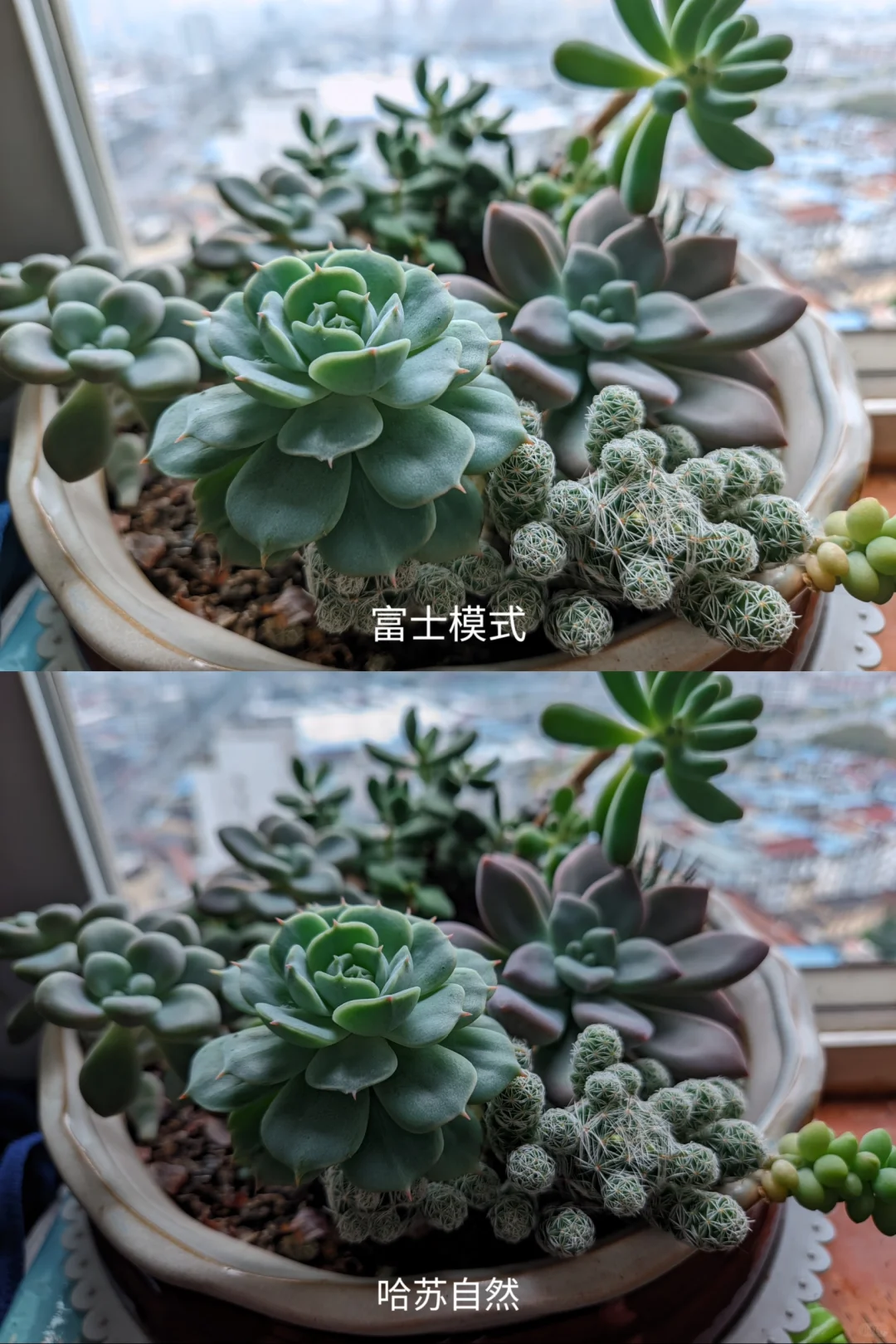 三星s23谷歌相机安装保姆级教程和设置