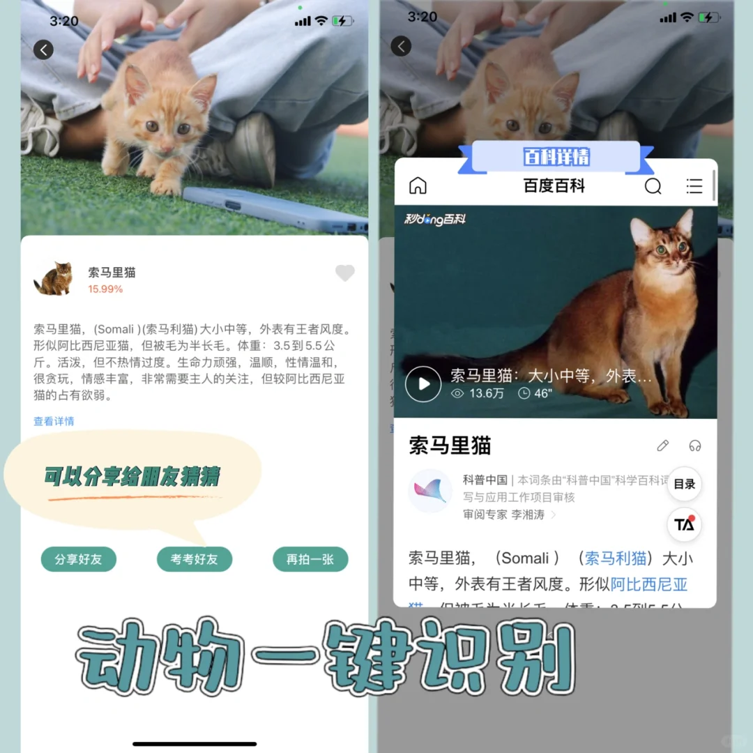 周末出行必备🌸随时随地拍照识花神器