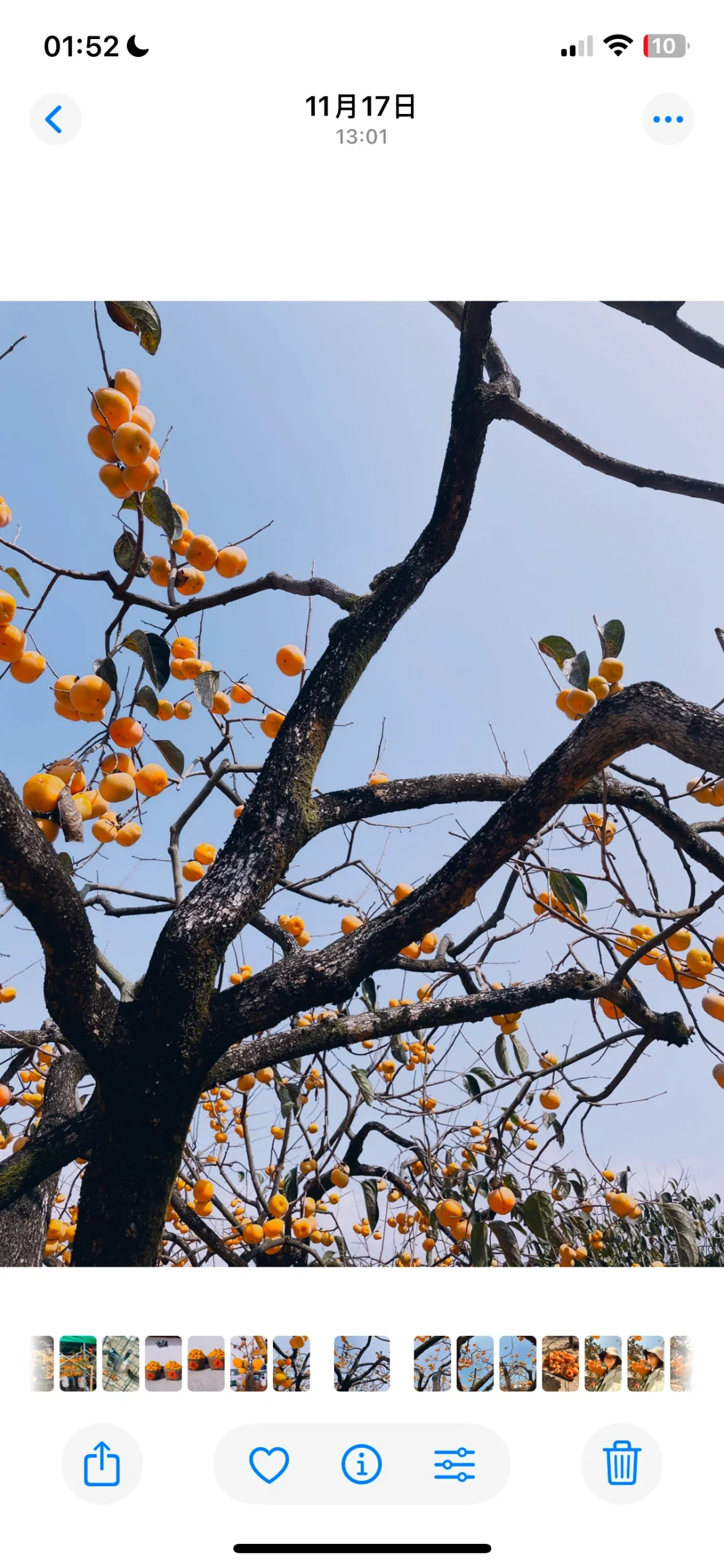 【免费】值得疯狂安利的拍照App