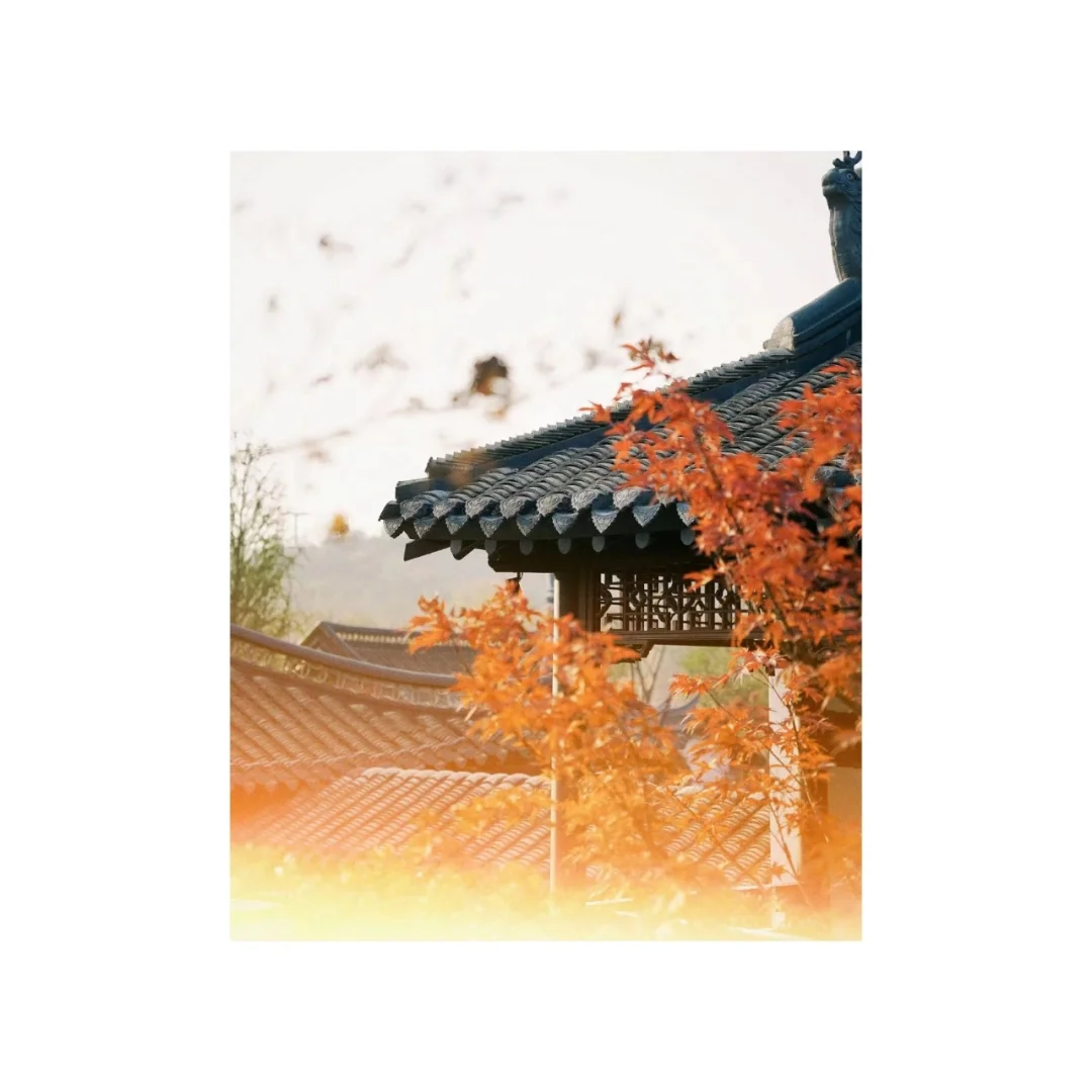 杀疯了！！用这个相机拍出氛围感大片