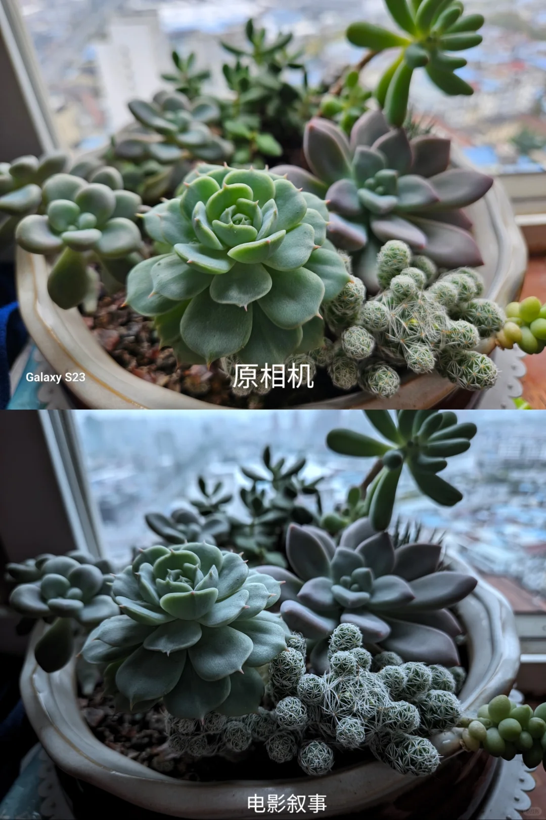 三星s23谷歌相机安装保姆级教程和设置