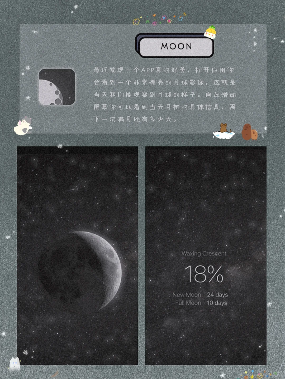 逆天好用！8款良心实用的宝藏精致APP