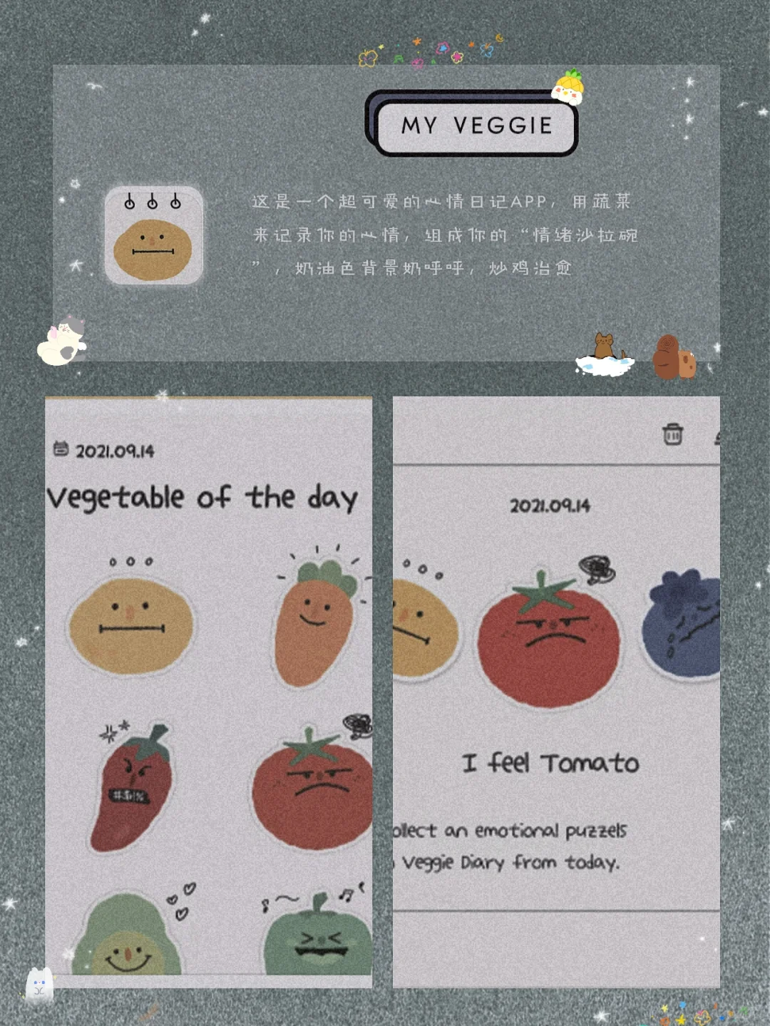 逆天好用！8款良心实用的宝藏精致APP