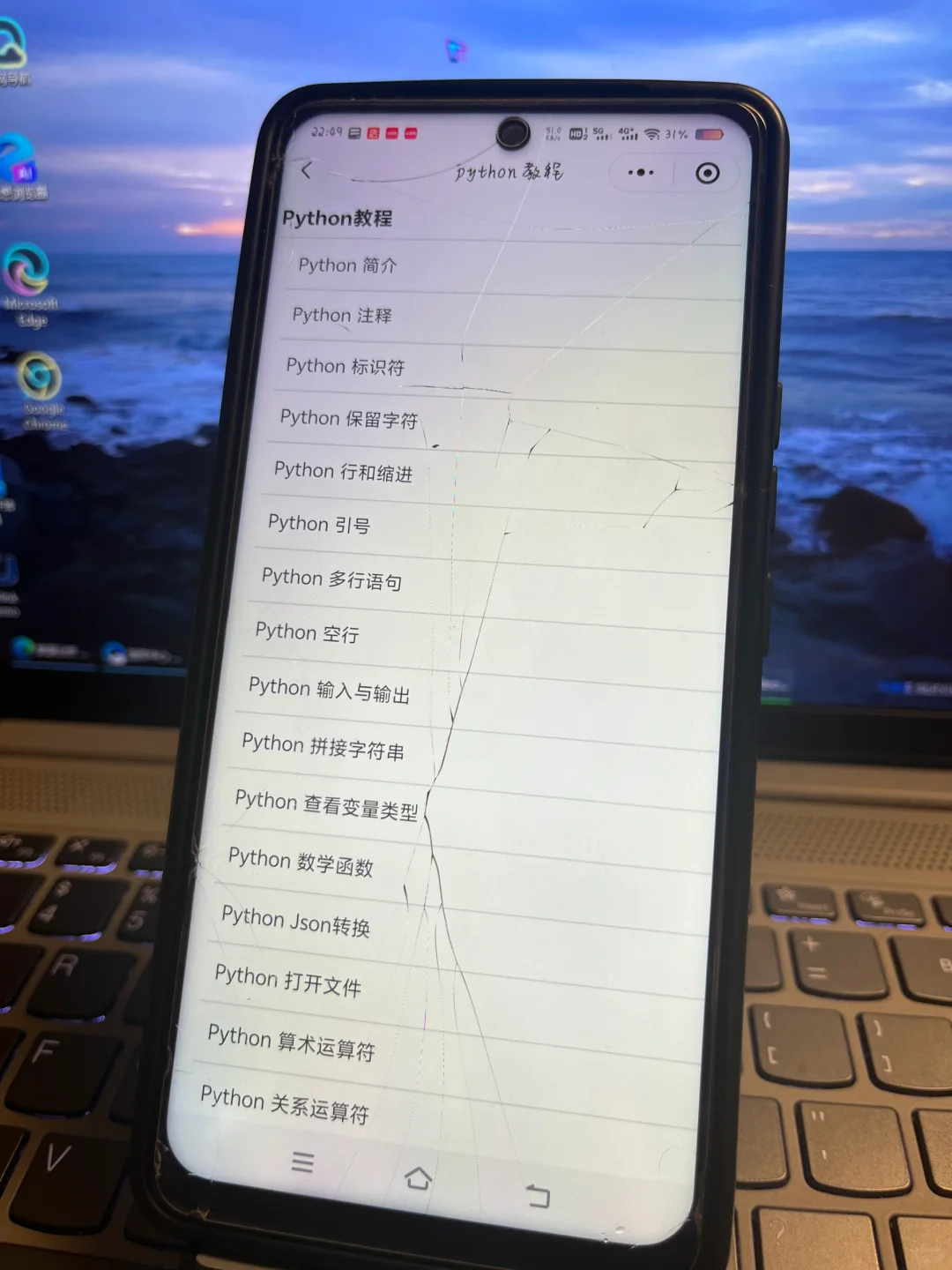 2025最火热的宝藏编程学习APP！