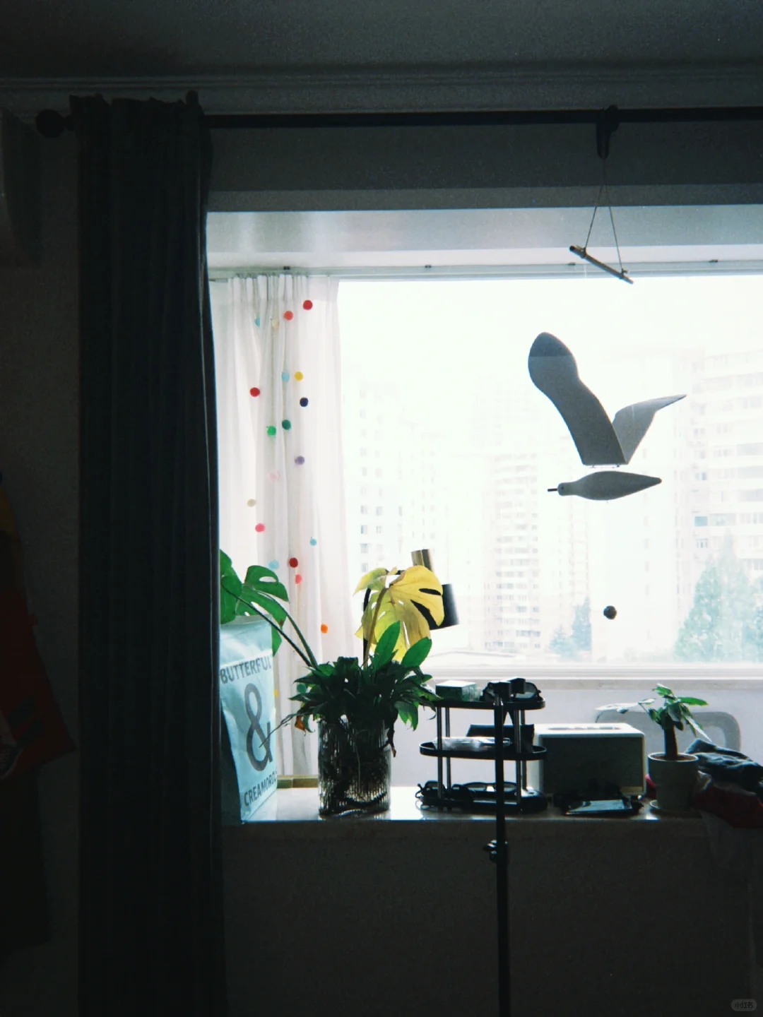 iphone无痛胶片🎞️！