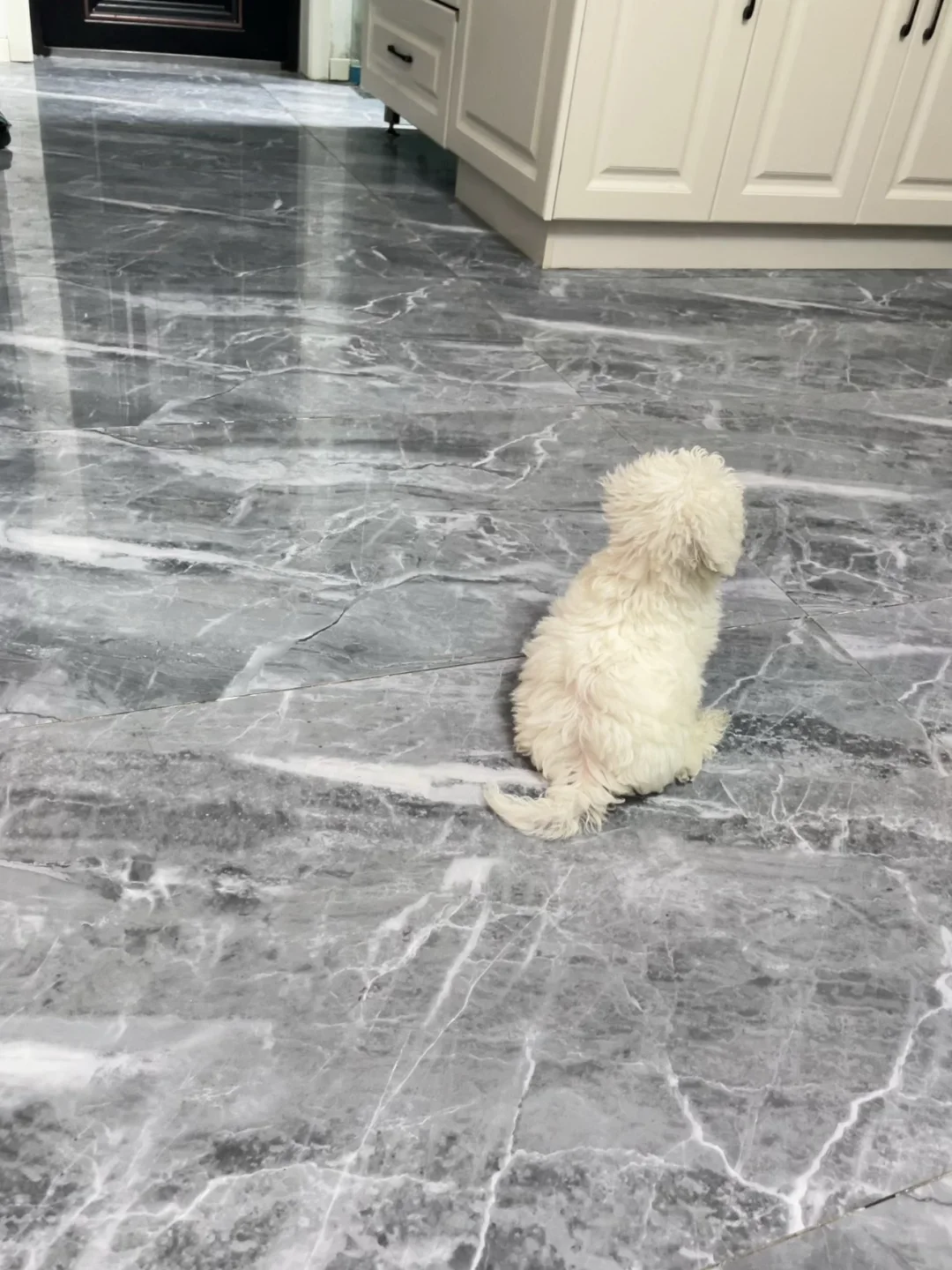 机顶盒真的……