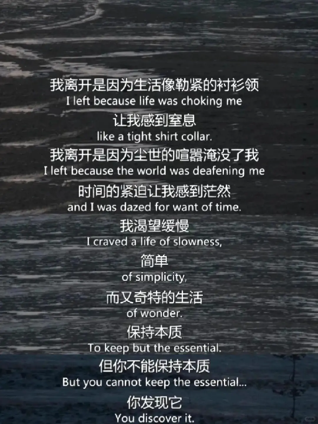 独处时看了8部电影，让感受力在盛夏疯长