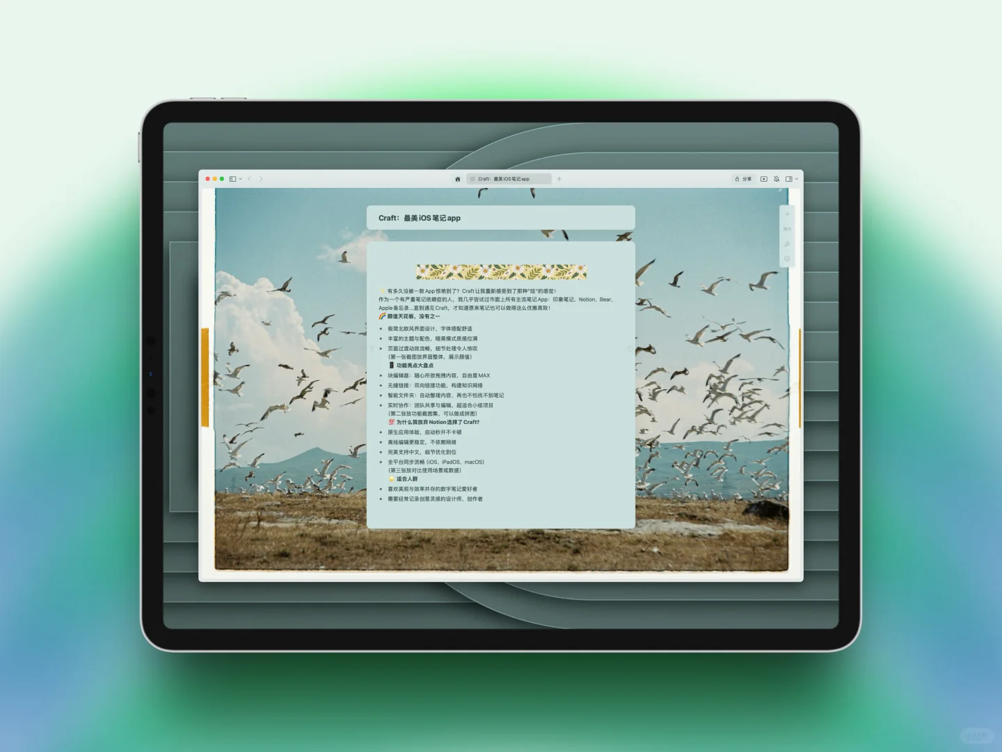 设计师笔记神器｜Craft让我的灵感焕然一新