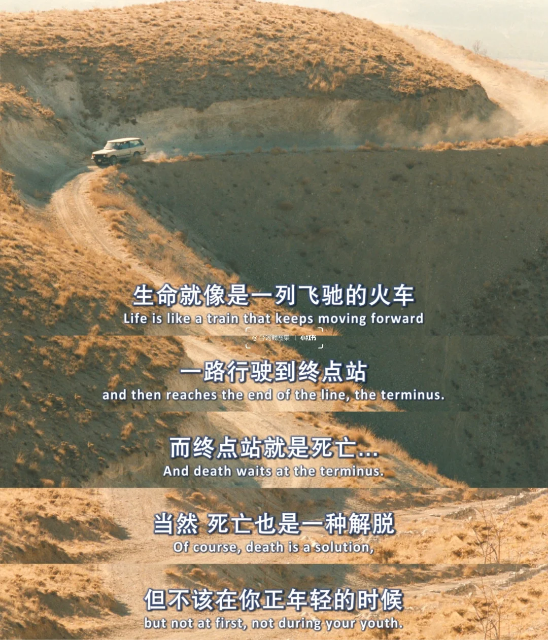 我带着自杀的念头出门 最后却带着桑葚回家