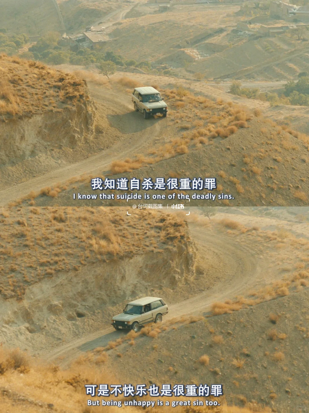 我带着自杀的念头出门 最后却带着桑葚回家