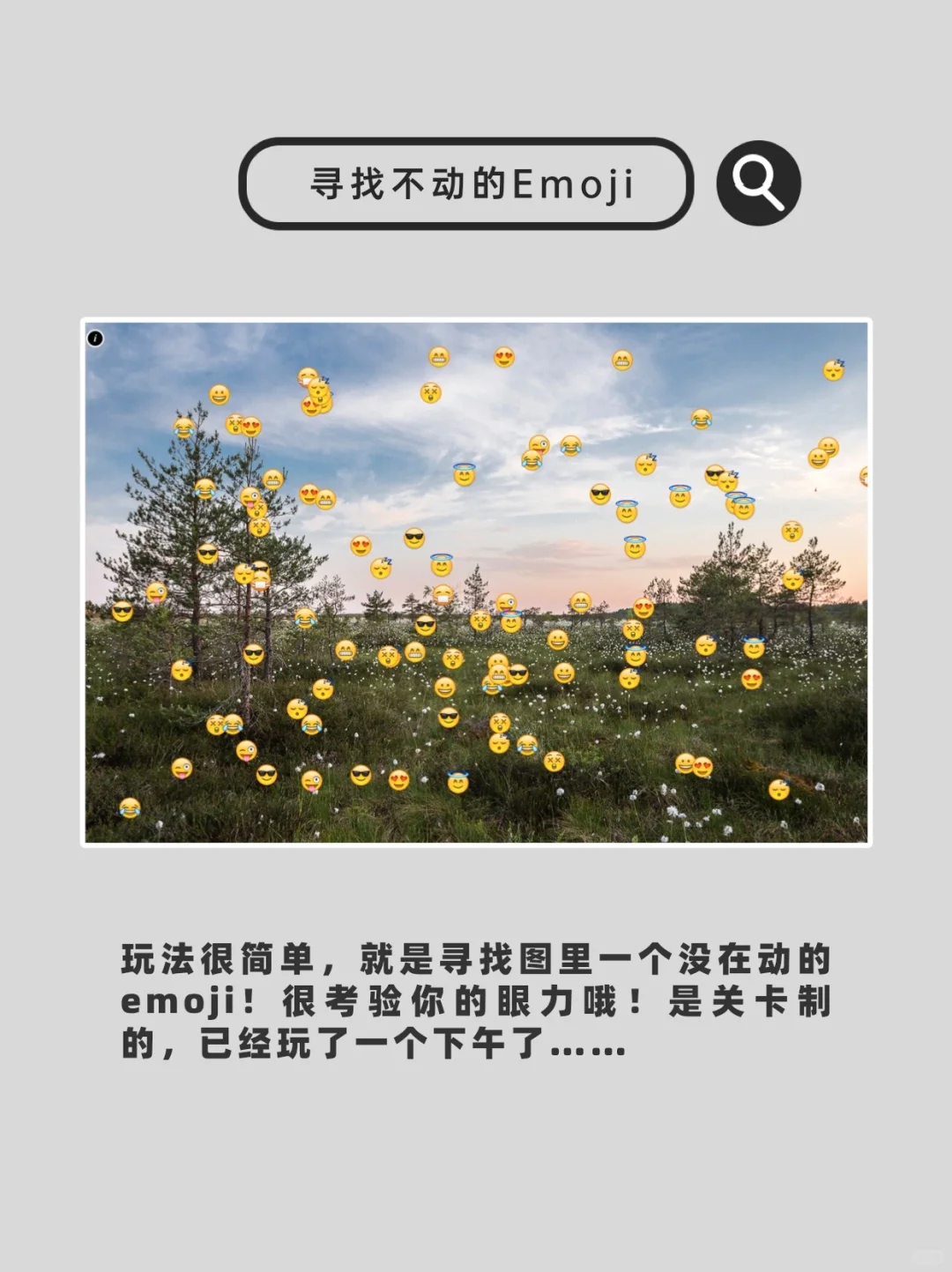 10个稀奇古怪又好玩的🕸️站！无聊救星!