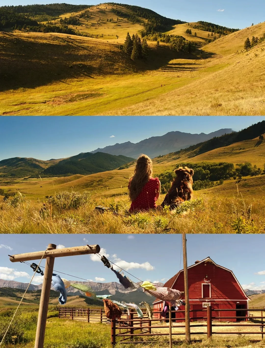 我见过最治愈的电影画面，导演也太会拍了