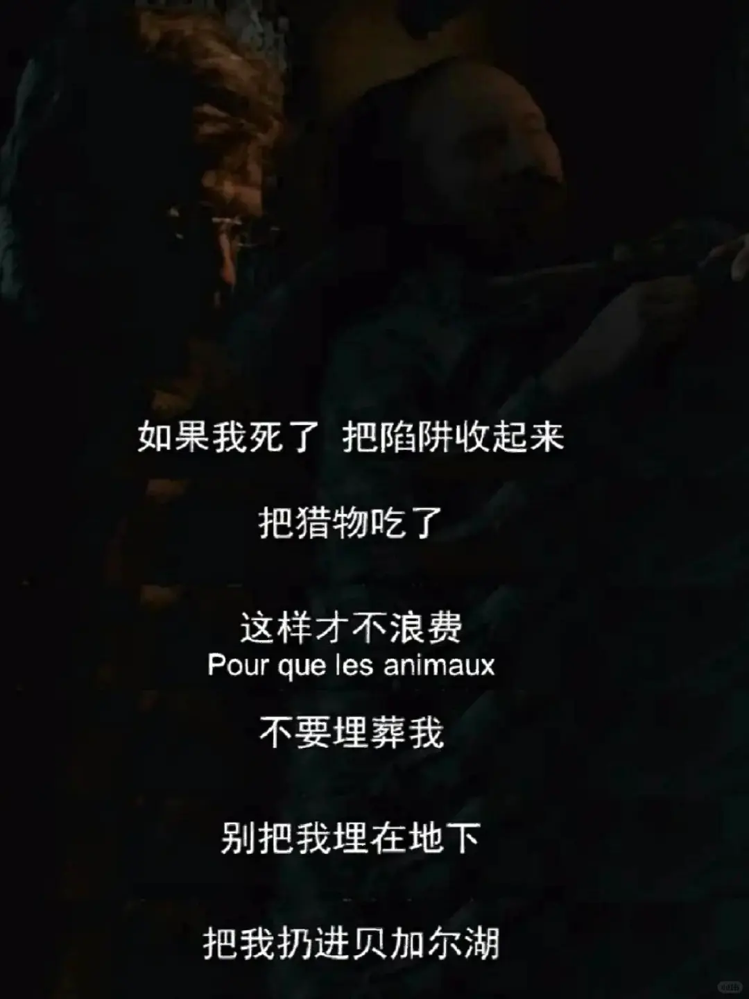 独处时看了8部电影，让感受力在盛夏疯长