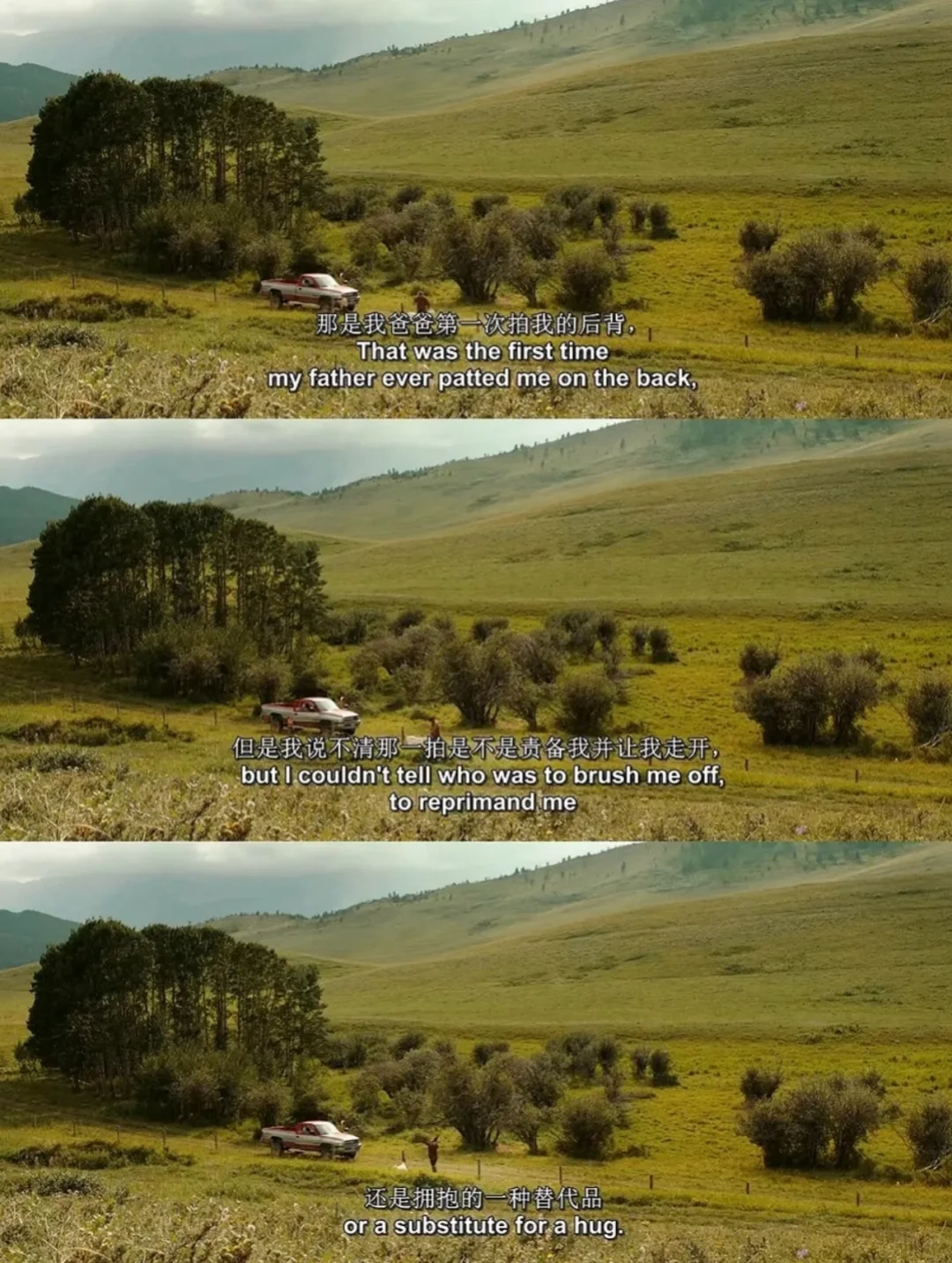 我见过最治愈的电影画面，导演也太会拍了